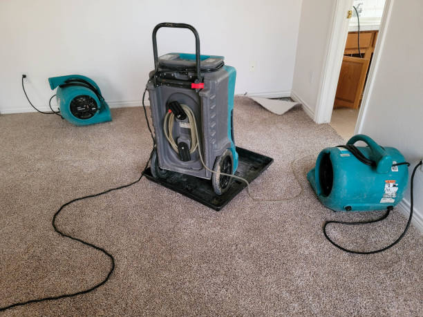 Best Carpet water damage restoration  in Kings Mountain, NC