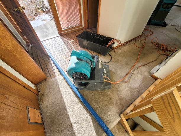 Best Commercial water damage restoration  in Kings Mountain, NC