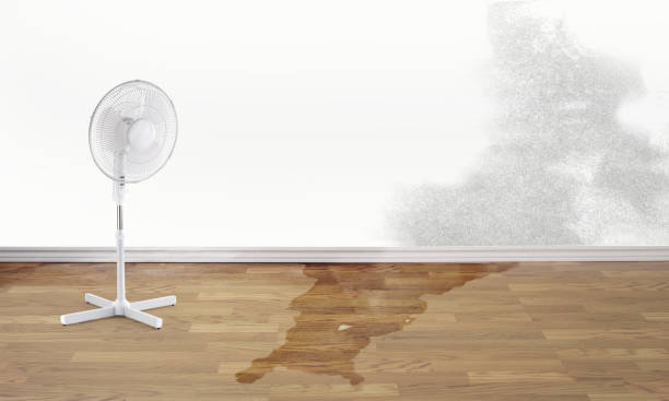 Best Water damage cleanup near me  in Kings Mountain, NC
